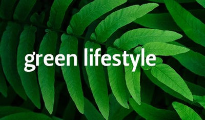 Lifestyle in green: lo stile che fa tendenza