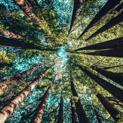 Save the planet: evitiamo gli sprechi!